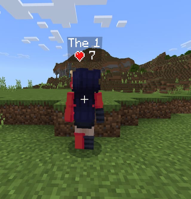 Health Display for Entities & Players — screenshot 4