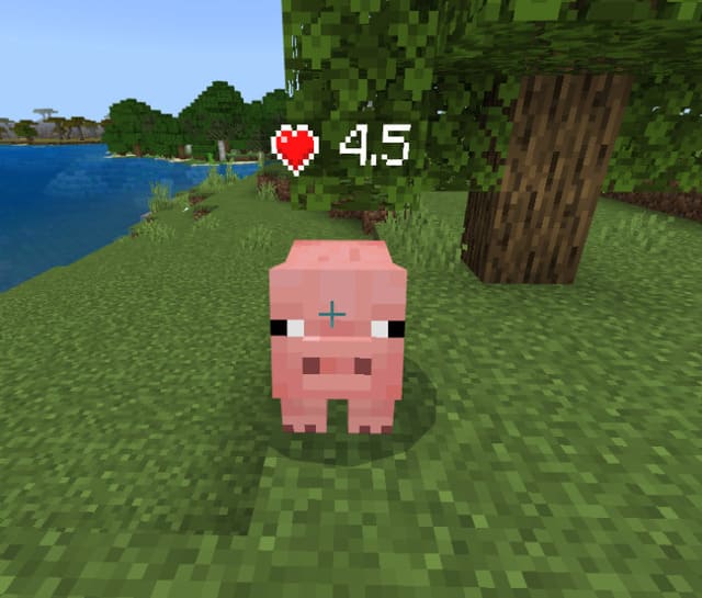 Health Display for Entities & Players — screenshot 6