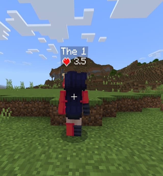 Health Display for Entities & Players — screenshot 7