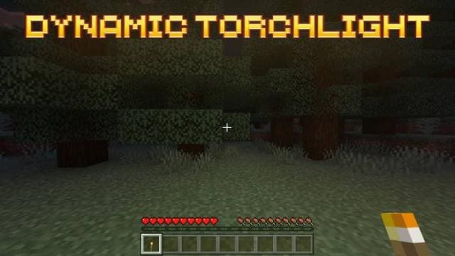 Dynamic Torchlight — screenshot 2