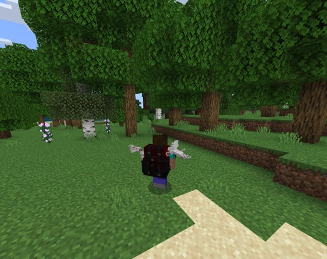 Lude's Backpacks — screenshot 7