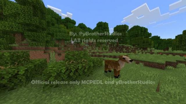 yBiomesCraft — screenshot 5