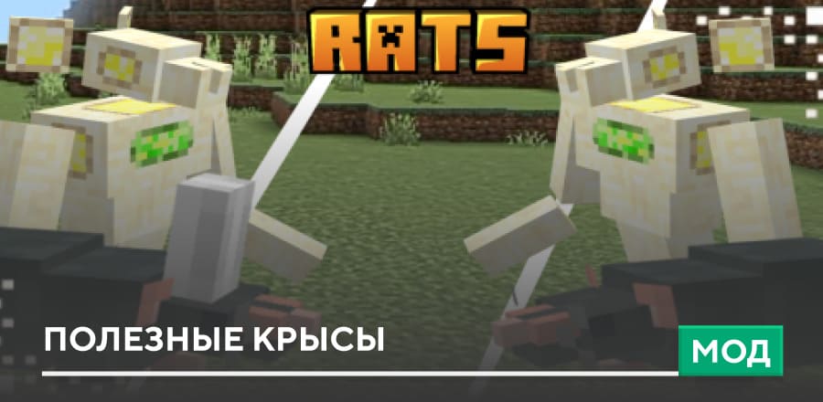 Helpful Rats — screenshot 1