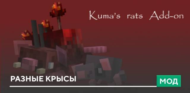 Helpful Rats — screenshot 5