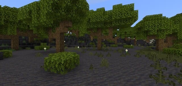 Toasty's Vanilla Swamp Overhaul — screenshot 4