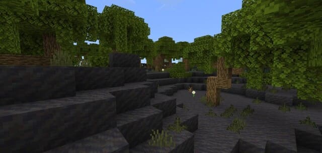 Toasty's Vanilla Swamp Overhaul — screenshot 5