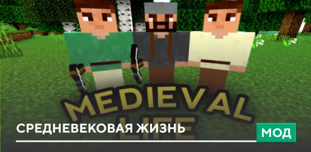 Medieval Life — screenshot 1