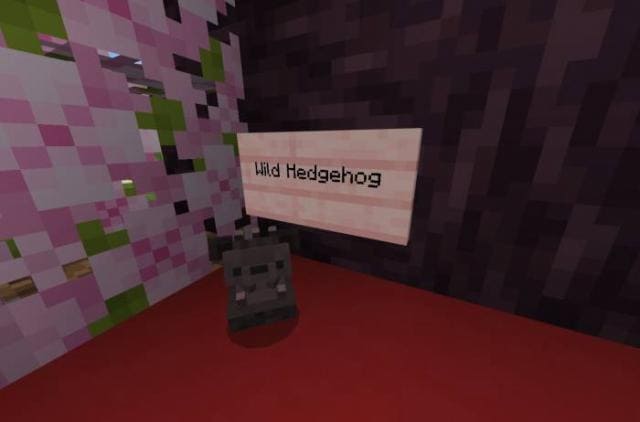 Kuma's Hedgehog — screenshot 2