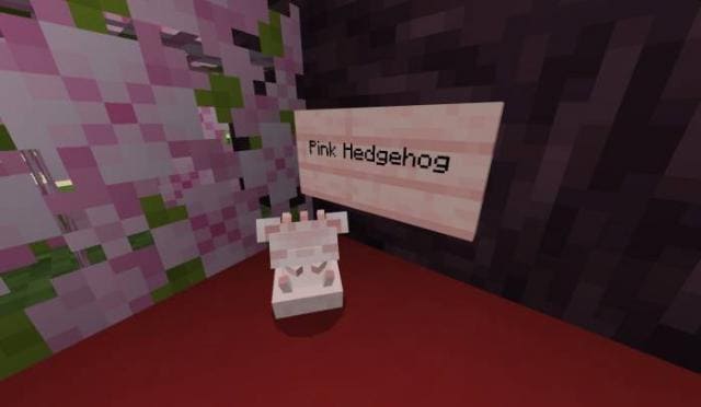 Kuma's Hedgehog — screenshot 3