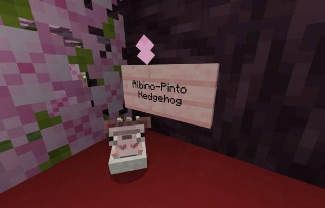 Kuma's Hedgehog — screenshot 7