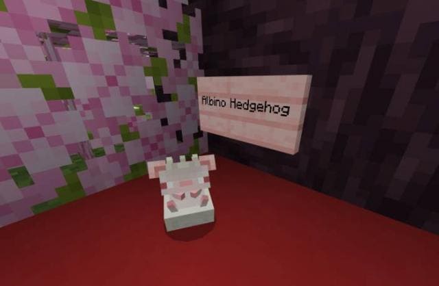 Kuma's Hedgehog — screenshot 8