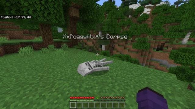 Player Corpse — screenshot 2