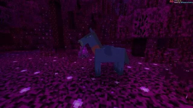 Mo'Magic — screenshot 6