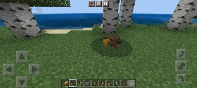 Animalia World — screenshot 8