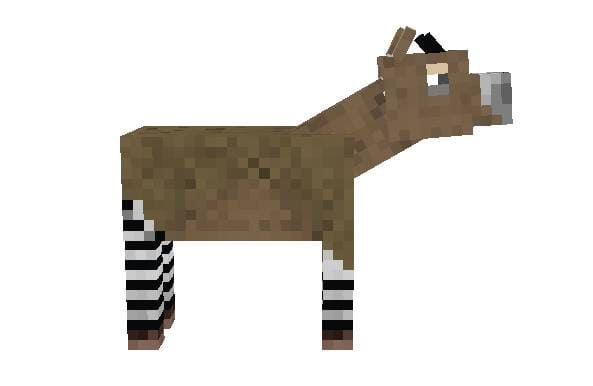Okapis