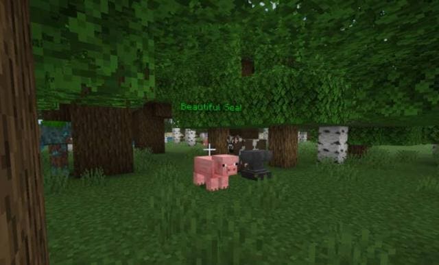 Pigmarker — screenshot 2
