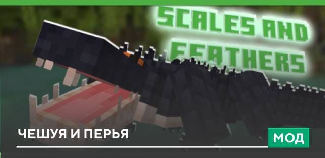 Scales and Feathers — screenshot 1