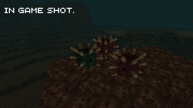 Fiery's Expansion — screenshot 3