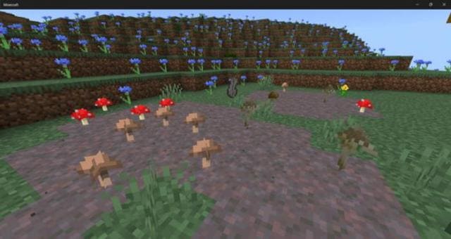 Rustic Nature — screenshot 6