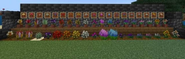 bum_Flora — screenshot 3