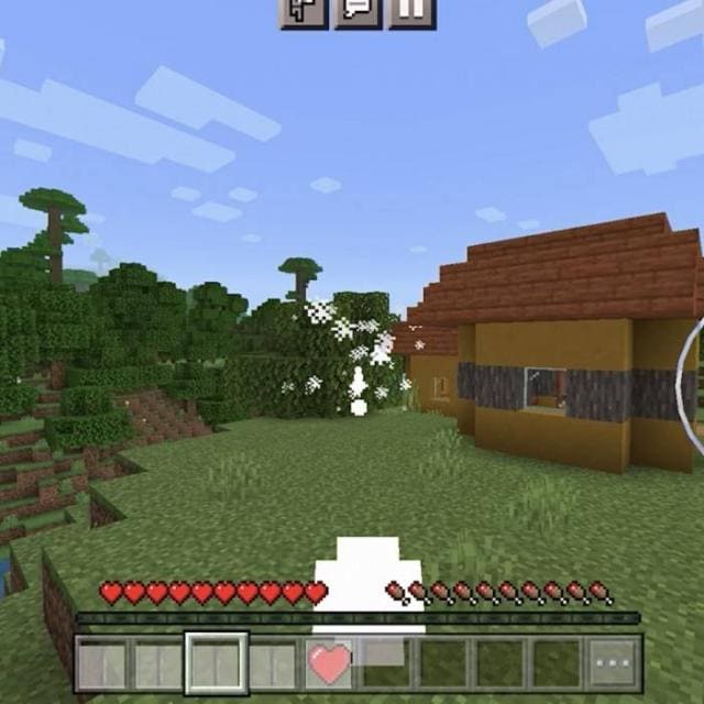 The Magic — screenshot 8
