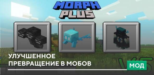 Morph Plus — screenshot 1