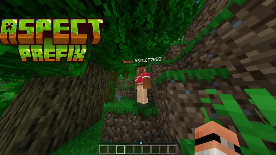 Aspect Prefix Addon for Minecraft Bedrock 26.20