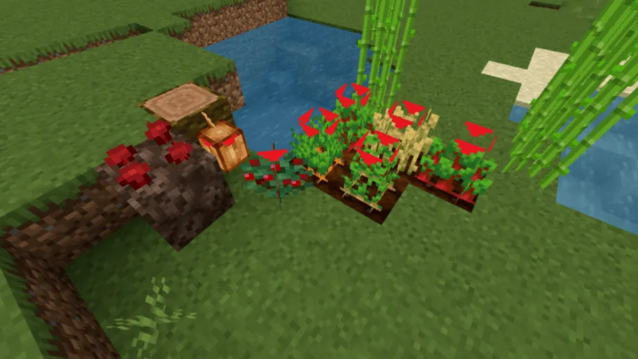 Crop Growth Hint Texture Pack for Minecraft Bedrock 1.21.0
