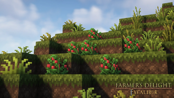 Excalibur | Farmer's Delight Support — screenshot 1
