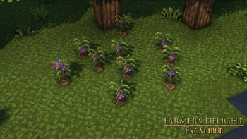 Excalibur | Farmer's Delight Support — screenshot 2