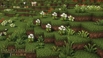 Excalibur | Farmer's Delight Support — screenshot 4