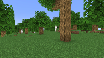 Shadify — screenshot 2