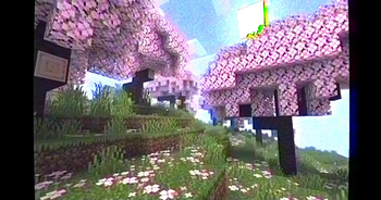 MC VHS — screenshot 4