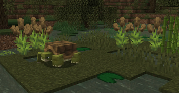 Naturalist — screenshot 2