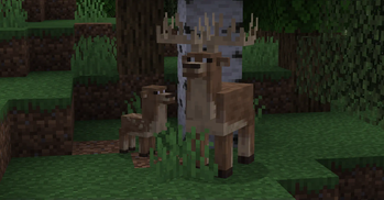Naturalist — screenshot 7