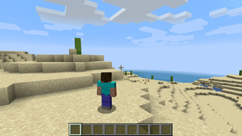Shoulder Surfing Reloaded — screenshot 1