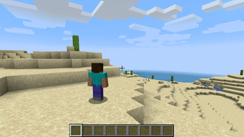 Shoulder Surfing Reloaded — screenshot 2