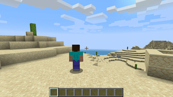 Shoulder Surfing Reloaded — screenshot 3