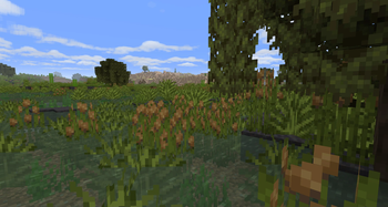 Nature's Spirit — screenshot 3