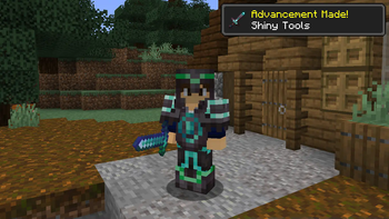Tool Trims — screenshot 4