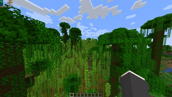 VulkanMod — screenshot 2