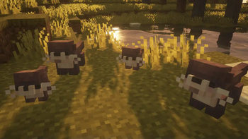 Critters and Companions — screenshot 2