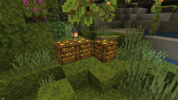 Crate Delight — screenshot 5
