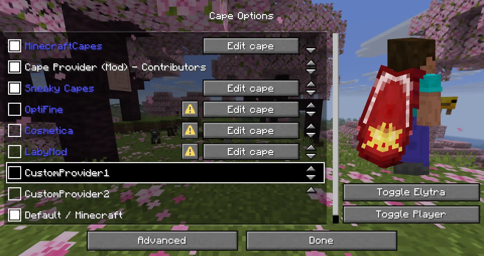 Cape Provider — screenshot 1