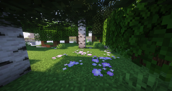 VerdantVibes — screenshot 7