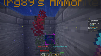 Firmament for Hypixel SkyBlock — screenshot 4