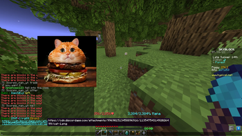 Firmament for Hypixel SkyBlock — screenshot 8