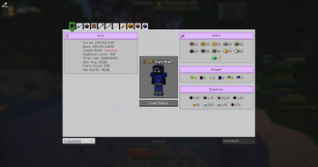 SkyBlock Profile Viewer — screenshot 1
