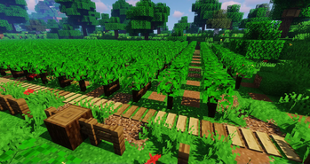 Macaw's Paths and Pavings — screenshot 1