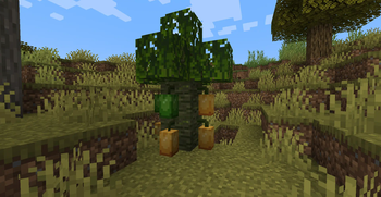 Muffin's Thai's Delight — screenshot 2